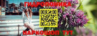 дживик Берёзовский