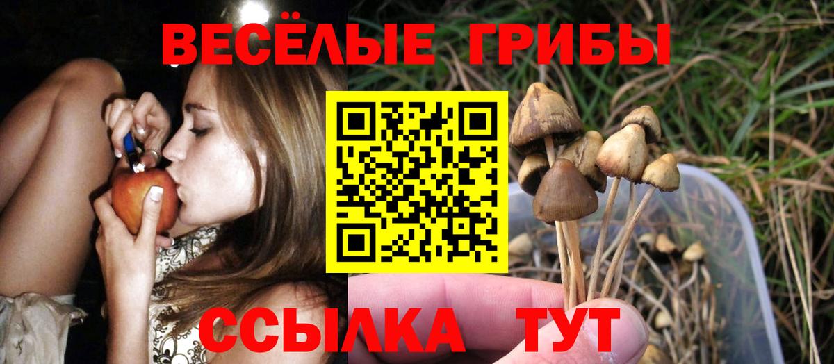 Галлюциногенные грибы MAGIC MUSHROOMS  Вход с VPN  Кировск 